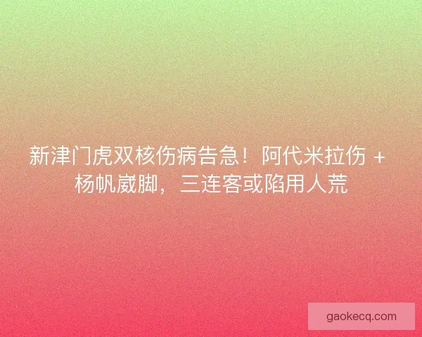 新津门虎双核伤病告急！阿代米拉伤 + 杨帆崴脚，三连客或陷用人荒