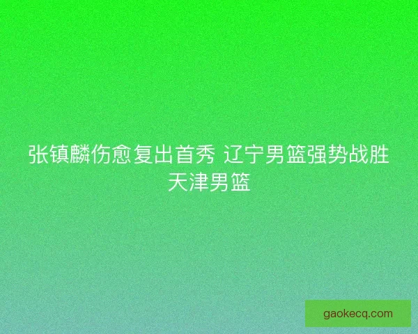 张镇麟伤愈复出首秀 辽宁男篮强势战胜天津男篮