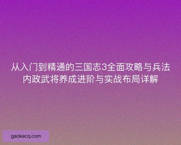 从入门到精通的三国志3全面攻略与兵法内政武将养成进阶与实战布局详解