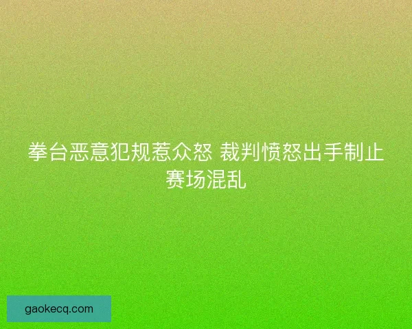 拳台恶意犯规惹众怒 裁判愤怒出手制止赛场混乱 拳台恶意犯规惹众怒 裁判愤怒出手制止赛场混乱