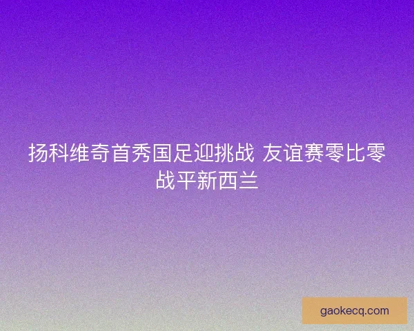 扬科维奇首秀国足迎挑战 友谊赛零比零战平新西兰