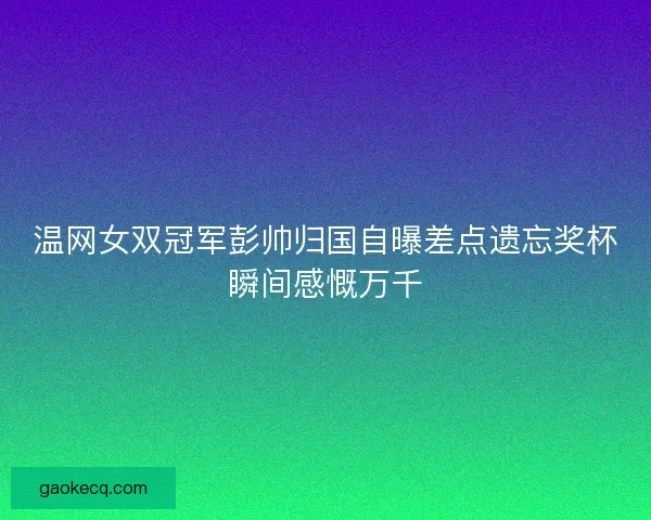 温网女双冠军彭帅归国自曝差点遗忘奖杯瞬间感慨万千