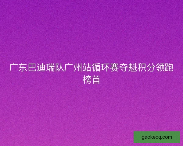 广东巴迪瑞队广州站循环赛夺魁积分领跑榜首