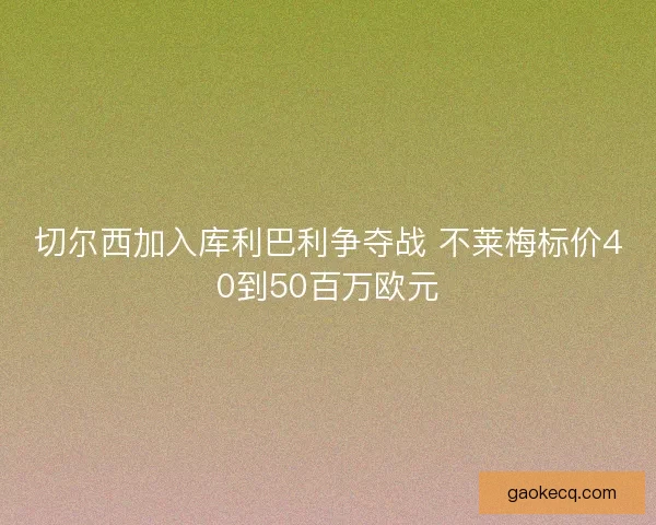 切尔西加入库利巴利争夺战 不莱梅标价40到50百万欧元